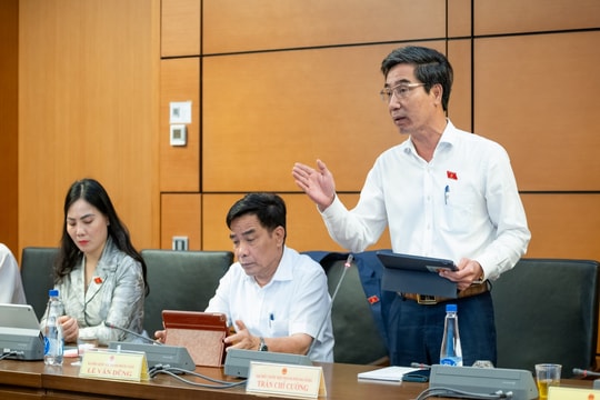 Đại biểu Quốc hội thành phố Đà Nẵng thảo luận về cơ chế, chính sách trong lĩnh vực y tế, giáo dục