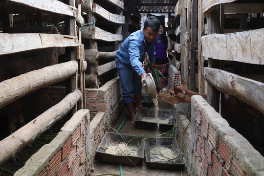 Người dân Sông Kôn vươn lên thoát nghèo