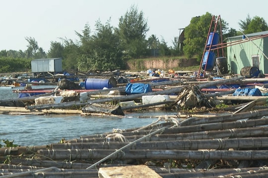 Đà Nẵng tăng cường quản lý hoạt động nuôi trồng thủy sản lồng bè