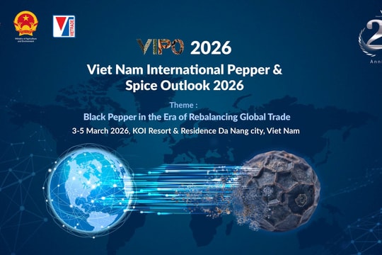 Da Nang to host Vietnam International Pepper and Spices Outlook 2026