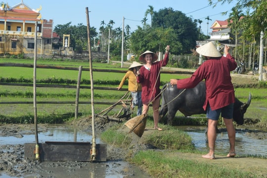 Da Nang targets for balanced development across tourism zones