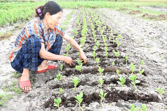 Hỗ trợ khách hàng khôi phục sản xuất