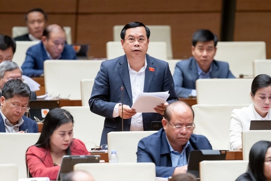 Đại biểu Quốc hội thành phố Đà Nẵng thảo luận về lĩnh vực giáo dục