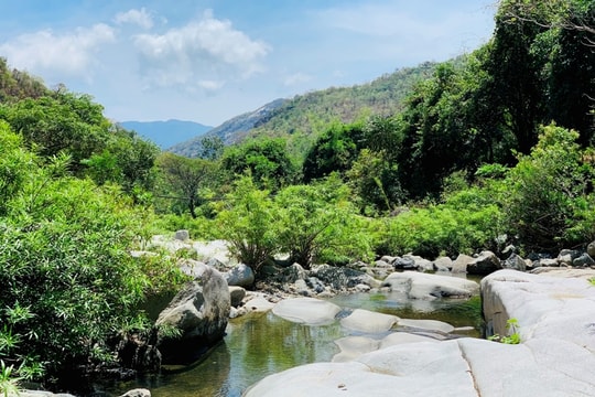 Suối Lồ Ồ Ninh Thuận: Kinh nghiệm khám phá dòng suối hoang sơ