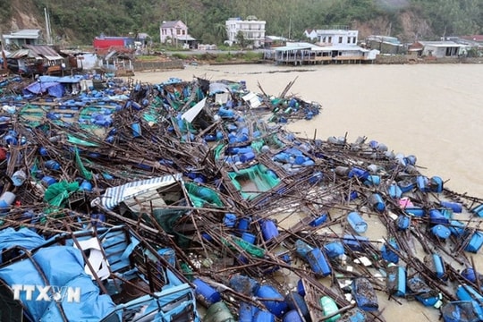 Hỗ trợ khẩn cấp 700 tỷ đồng cho Khánh Hòa, Lâm Đồng, Gia Lai và Đắk Lắk khắc phục thiệt hại do thiên tai