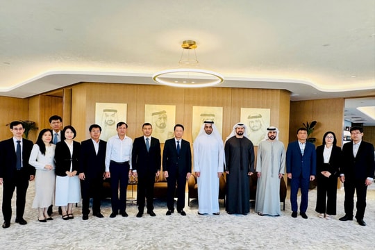 Da Nang seeks UAE support to attract investment in finance, tech, and logistics