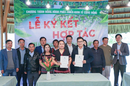 Leaf Village & Farm - Làng Lá triển khai mô hình vườn liên kết giúp phát triển nông nghiệp bền vững