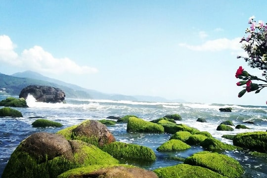 Thơ Nguyễn Bá Hòa