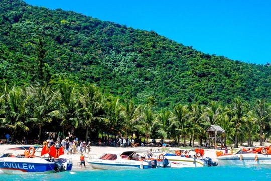 Điểm tin tuần qua từ ngày 17/11 đến 22/11