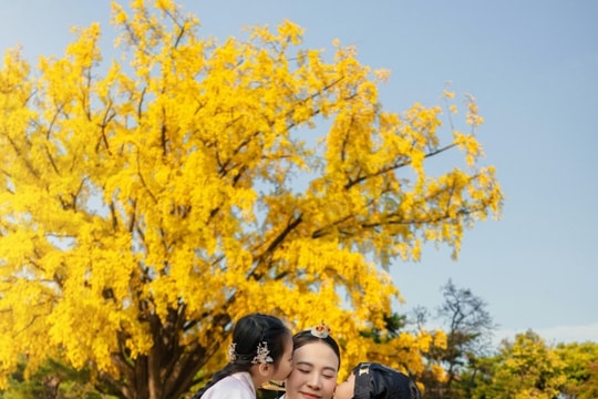 Hàn Quốc mùa thu: Cẩm nang khám phá sắc lá vàng đỏ