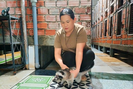 Phát triển chăn nuôi gắn với thế mạnh địa phương