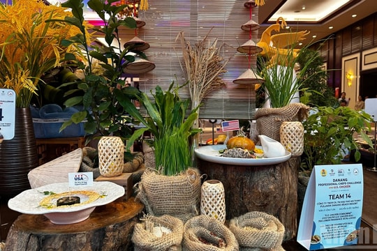 Da Nang chefs elevate Vietnamese food tourism