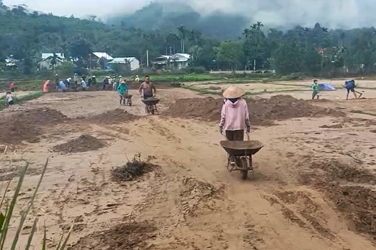 Xuống đồng sớm khôi phục mùa vụ ở miền sơn cước