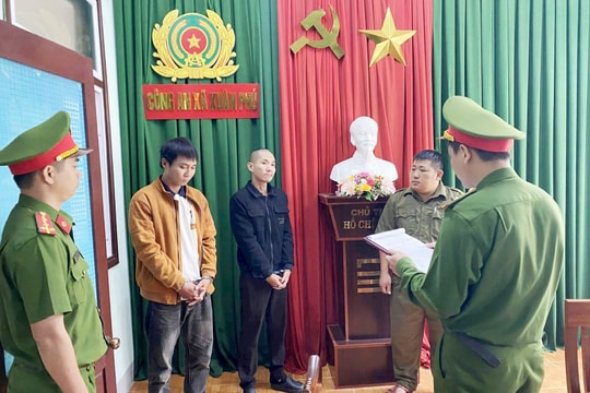 Bắt tạm giam hai đối tượng trộm cây mai vàng 80 triệu đồng