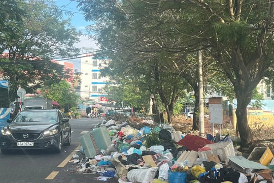 Đà Nẵng tăng cường xử lý hành vi đổ rác, giá hạ, xà bần gây ô nhiễm môi trường