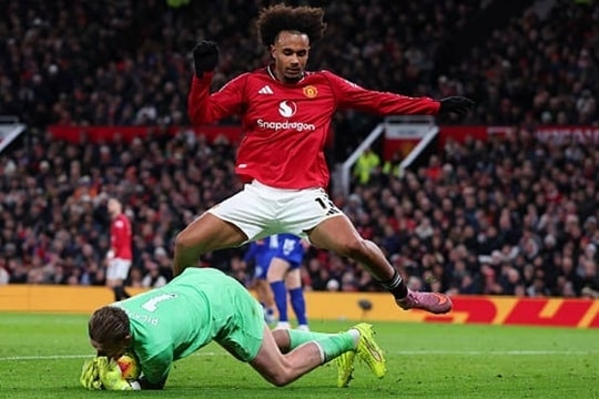 Cơ hội vàng hóa thảm họa của Joshua Zirkzee tại Man Utd