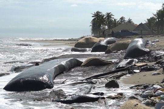Phòng, chống thiên tai thích ứng với biến đổi khí hậu