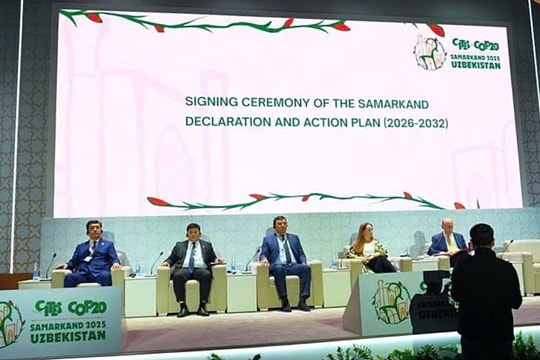 Chung tay bảo vệ động vật hoang dã