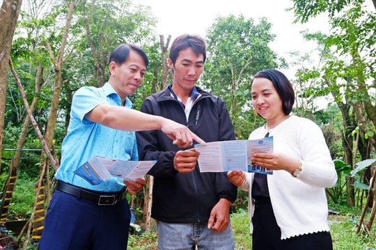 Kiên trì vận động hộ kinh doanh cá thể tham gia bảo hiểm xã hội