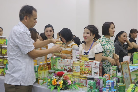 Shop, explore, celebrate during Da Nang’s Mega Sale 2025 awaits