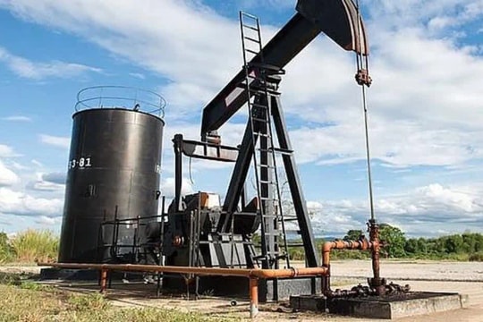 Giá xăng dầu hôm nay 26/11/2025 giảm mạnh trước kỳ điều chỉnh mới