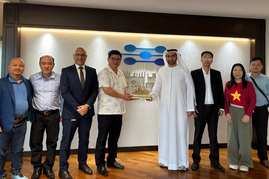How Da Nang plans to break through on global startup map