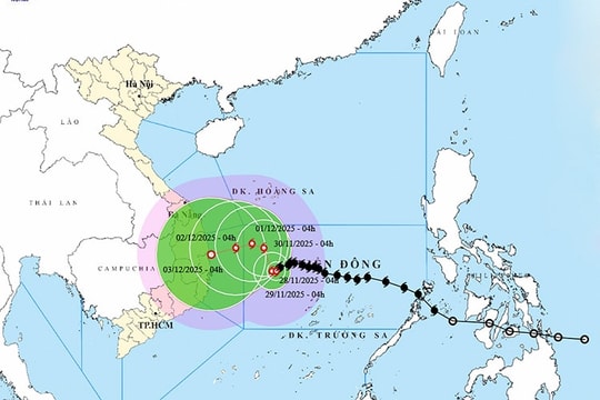 Đà Nẵng chủ động triển khai ứng phó bão số 15