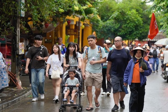 Việt Nam: Khám phá 4 mùa theo một cách hoàn toàn mới