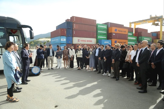 Đoàn đại biểu Diễn đàn Logistics Việt Nam năm 2025 khảo sát thực tế hạ tầng Đà Nẵng