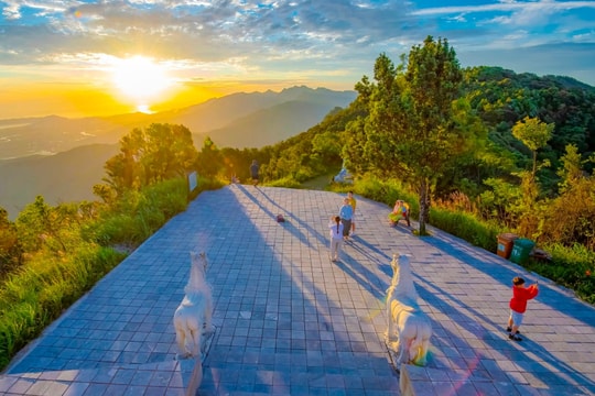 Lắng nghe rừng Bạch Mã