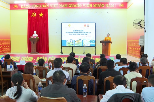 Mở lớp đào tạo nguồn nhân lực nông nghiệp công nghệ cao