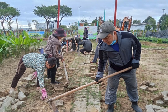 Hội Nông dân phường Cẩm Lệ ra quân vệ sinh môi trường