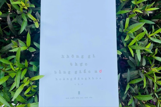 Đường tự do có là đường cũ bao giờ