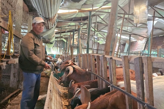 Bảo vệ sức khỏe đàn vật nuôi trong mùa lạnh