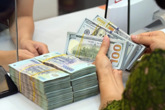 Tỷ giá USD hôm nay 1/12/2025: Giá USD tự do bật tăng