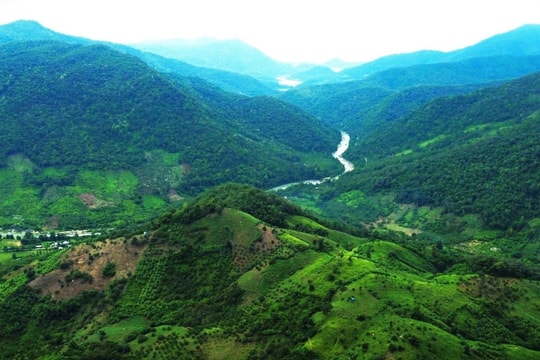 Vườn quốc gia Phước Bình: Hành trình vào 'ốc đảo xanh'