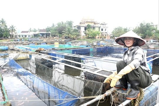 Nuôi thủy sản đón đầu thị trường Tết
