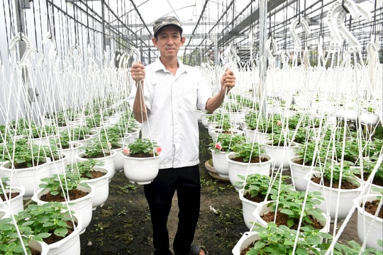 Công nghệ cao dẫn dắt phát triển nông nghiệp bền vững