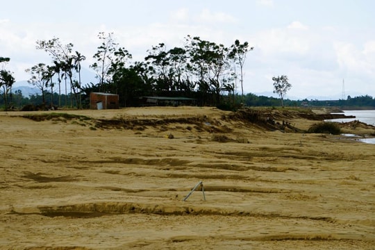 Đà Nẵng chỉ đạo khẩn trương xử lý đất cát bồi lấp sau mưa lũ, phục hồi sản xuất nông nghiệp