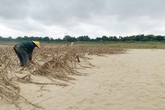 Xã Gò Nổi có 557 nghìn khối cát bồi lấp sau lũ lụt