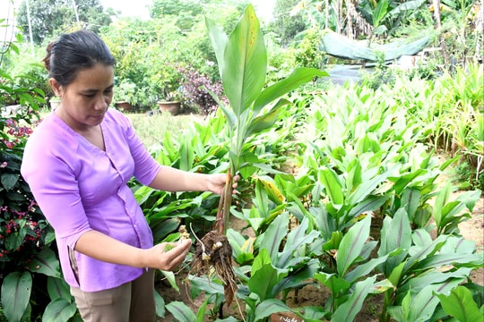 Kỳ vọng vụ mùa mới từ vốn vay