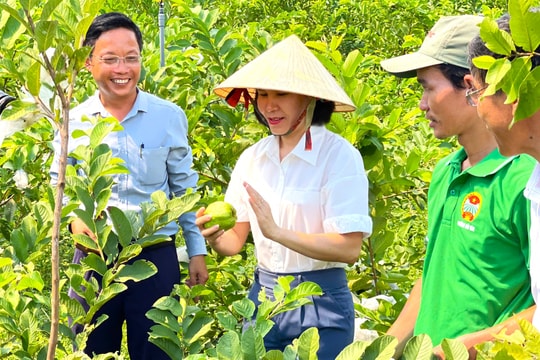 Đoàn kết, đổi mới, đồng hành phát triển