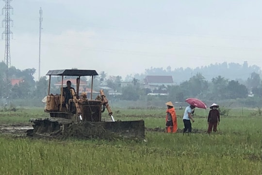 Cải tạo đồng ruộng