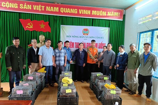 Hỗ trợ nông dân nuôi dúi thâm canh