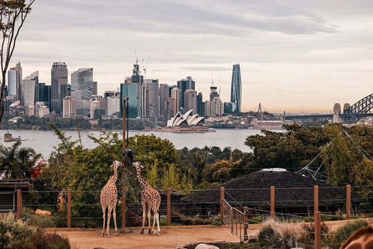 Sydney: Khám phá thành phố cảng từ Opera House đến Blue Mountains