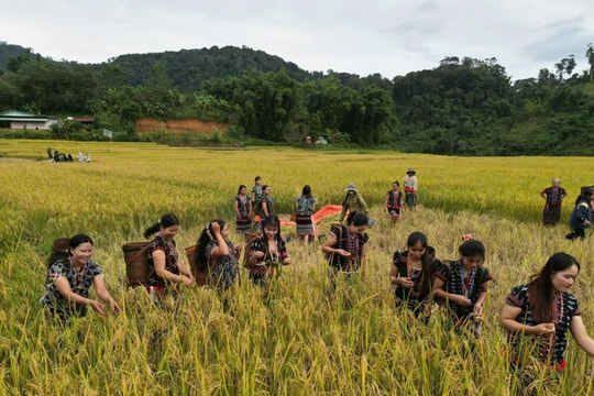 Thổi hồn vào dân ca Cơ Tu...