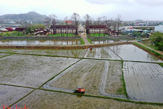 Làng Sông Bình Định: Dấu ấn Gothic nơi cội nguồn chữ Việt