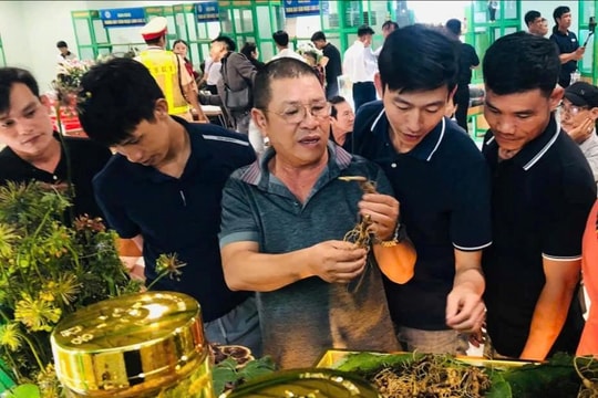 Để sâm Ngọc Linh mở rộng thị trường tiêu thụ