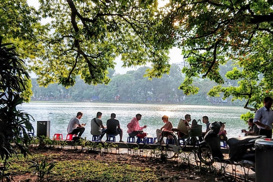 Thành phố của cội rễ