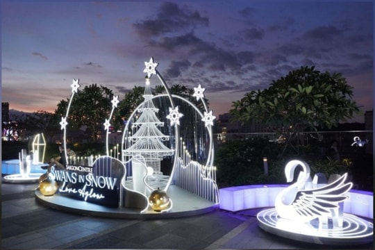 TP.HCM mùa Giáng sinh: Bản đồ các điểm chụp ảnh ấn tượng